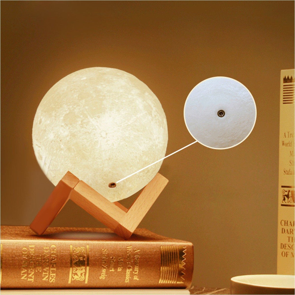 My Wife - Always Have Always Will Moon Lamp