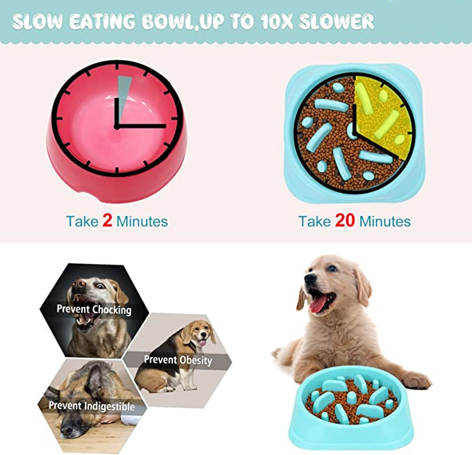 Pet Slow Feeder-Preventing Choking Healthy Dogs Bowl