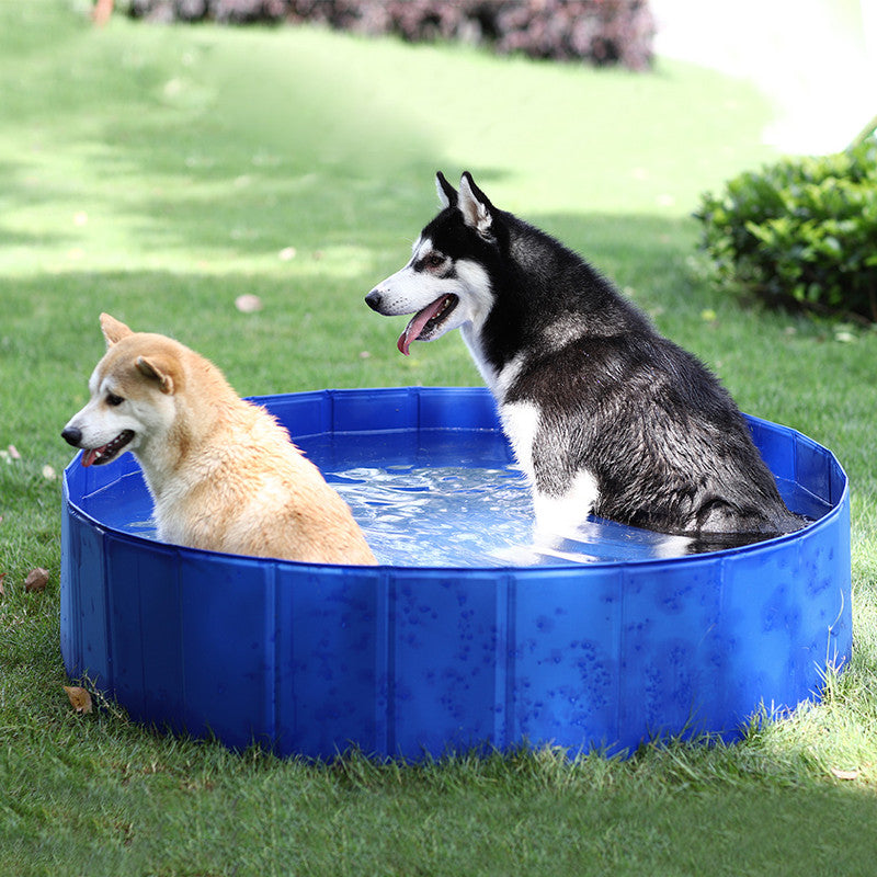 PORTABLE DOG POOL