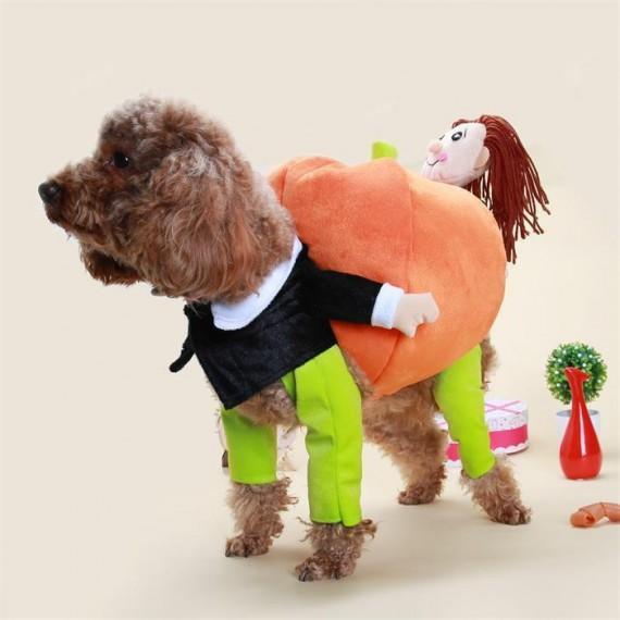 🎃Dog & Cat Pumpkin Halloween Costume
